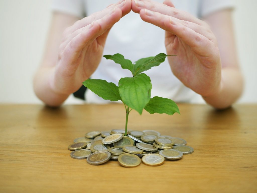 Plant beside coin and hands on top